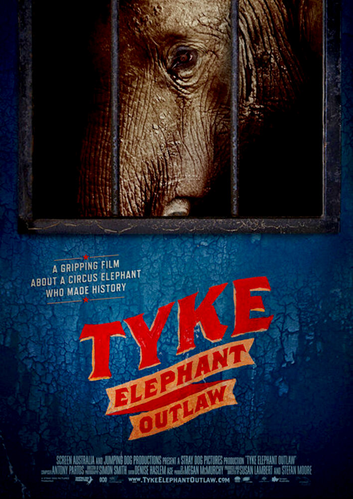Tyke Elephant Outlaw